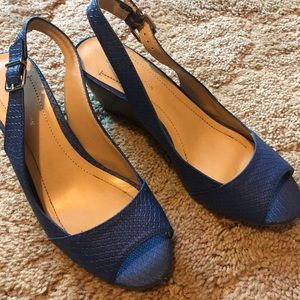 BCBG Blue Wedged Sandals